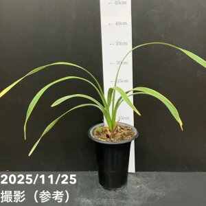 ԉ2LEw 4i WcQcjb~co`bm10-TU