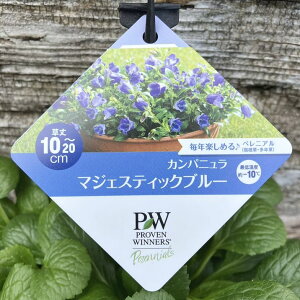 PW �J���p�j���� �}�W�F�X�e�B�b�N�u���[ 11cm�����O�|�b�g×2���Z�b�g�b����04-PA
