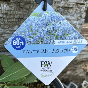 PW A\jA Xg[NEh 11cmO|bg×2Zbgb04-PA