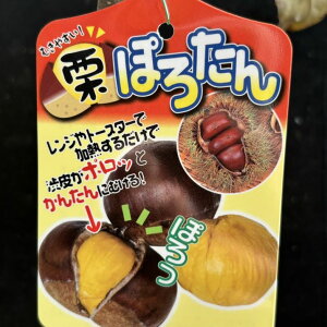 I ۂ낽 4O|bg PVPbʎ04-PA