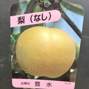  iV L zEXC 5O|bg 2Nbʎ04-PA