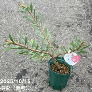 [Jfh CG[`[bv 4bԖ10-TU