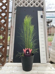 I[bNX JZ[^ uY wCY 5bԖ04-PA