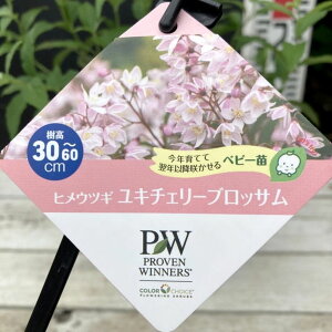 PW qEcM L`F[ubT 11cmO|bgbԖ04-PA