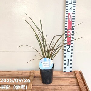 j[TC `R[gNbL[ 3b04-PA