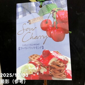 T[`F[ _ʍ A[[b`h 4.5bʎ04-PA