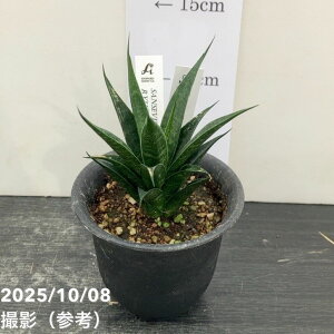 yAIi͂zTXxA 3 _ YdliS201jbϗt02-D2