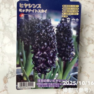 qAVX ~bhiCgXJC 1×2܃Zbgb04-PA