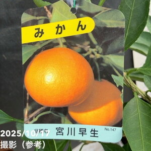 ݂ {쑁 ݂₪킹 4O|bg 1Ncbkbʎ04-PA