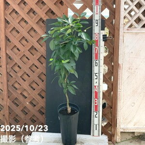 ubhIW  5O|bg 2Ncbkbʎ04-PA