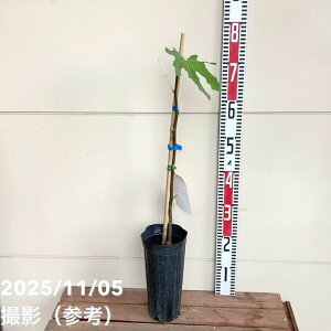 C`WN _}eB[ 4O|bg 1NbYAbʎ04-PA