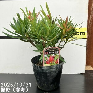 ԉCk}L x() 5bԖ10-TU