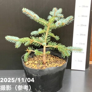 yi͂z^뉀Y Ai sZA vQX gEq zg 7i2jbԖ10-TU