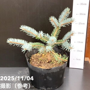 yi͂z^뉀Y Ai sZA vQX gEq zg 7i3jbԖ10-TU