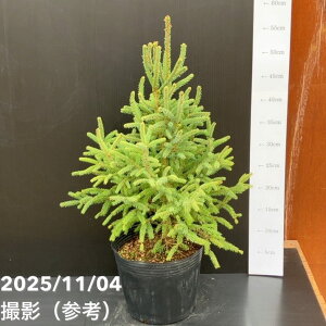 yi͂z^뉀Y Ai Ji_gEq ␫I 6bԖ10-TU