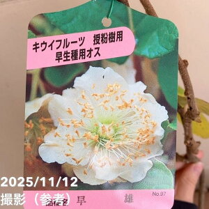 LECt[c Yi䂤jIX󕲎p 4bʎ04-PA