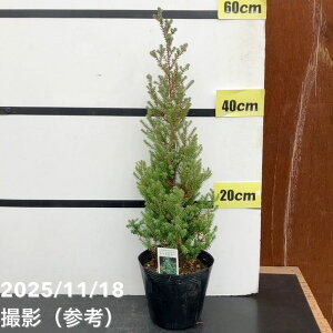 Rjt@[ bhX^[ip[vtFU[j5bԖ10-TU