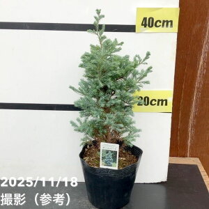 Rjt@[  {[o[h 5bԖ10-TU