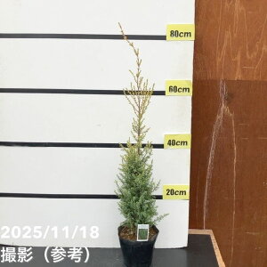 Rjt@[  S[hR[ 5bԖ10-TU