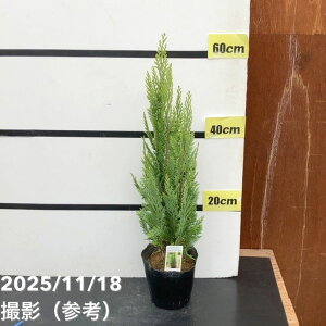 Rjt@[  A~S[h 5bԖ10-TU