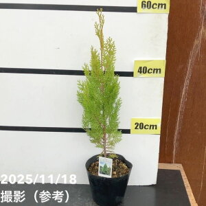 Rjt@[  GKeBV} 5bԖ10-TU