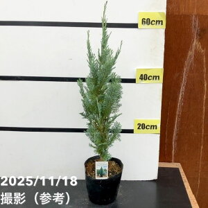 Rjt@[  RiXOEJ 5bԖ10-TU