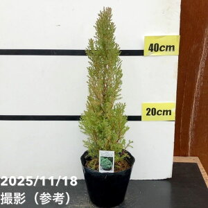 Rjt@[  [Y_X 5bԖ10-TU