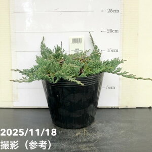 Rjt@[ EBgj[ 5bԖ10-TU