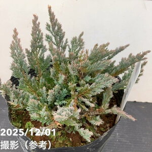 Rjt@[ u[`bv 5bԖ10-TU