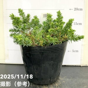 Rjt@[ u[pVtBbN 5bԖ10-TU