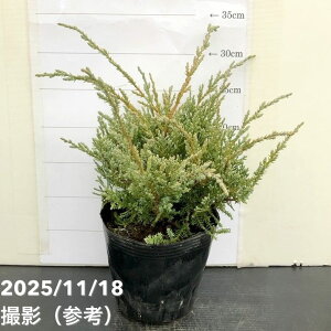 Rjt@[ q[WX 5bԖ10-TU