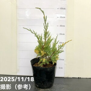 Rjt@[ u[&S[h 5bԖ10-TU