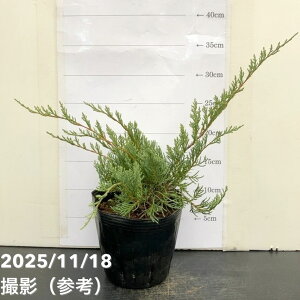 Rjt@[ OCIE 5bԖ10-TU