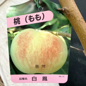   씒P 4O|bg 1Nbʎ04-PA