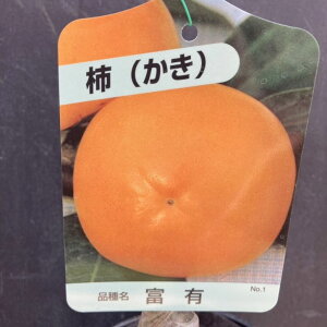 ` JL xL ӂ䂤 4O|bg 1N ږؕcbʎ04-PA