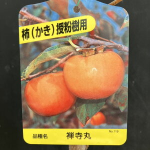 ` JL T 4O|bg 1N ږؕcbʎ04-PA