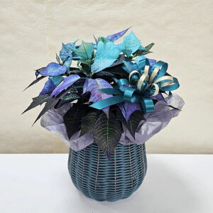 ~Mtg |CZ`A Of[VJ[b04-PA