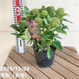 ~}VL~iXL~AjzCgO[u 5bԖ04-PA