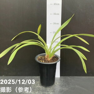 ԉ1LEw 4iᏼjb~co`bm10-TU