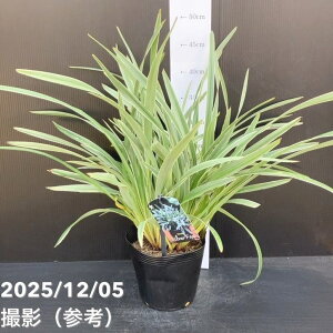 fBAl Vo[tHbNX 5bԖ10-TU