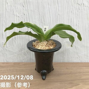 yi͂zL N Ig ܔ ] 픫iO8jbϗt10-TU