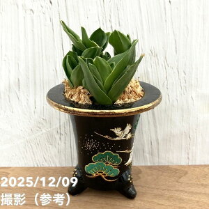 yi͂zL N Ig iӂÂ݁j ]˒ߔiO42jbϗt10-TU