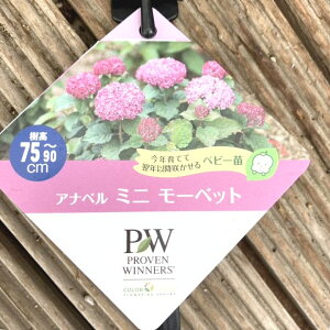 PW Aix ~j[xbg 3.5 PVPbԖ04-PA