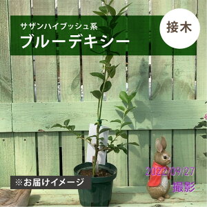 u[x[ TUnCubVn u[fLV[iږؕcj4.5`5bʎ04-PA