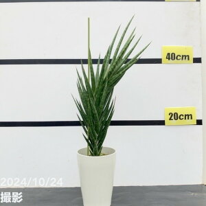 y3zTXxA 4.5 tVV[ vObϗt02-D2