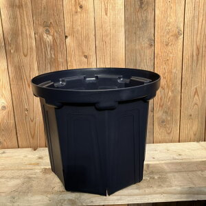 l܂肵ɂIXbg 13 CSM-400iJ[FFjb04-PA