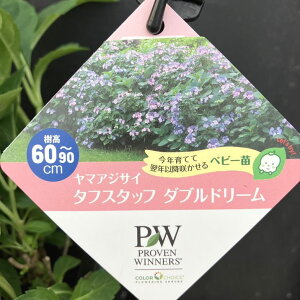 PW }AWTC ^tX^bt _uh[ 11cmO|bgbԖ04-PA