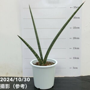 TXxA 4 XpC_[iqjvdlbϗt02-D2