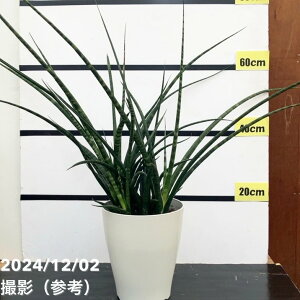 TXxA 7 t@[Ebhi~Jhj vX`bNdlbϗt02-D2