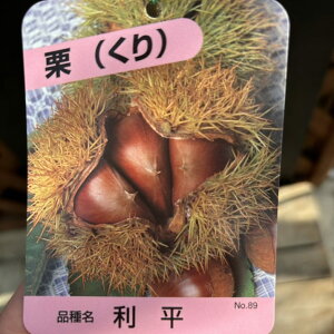 �I ���� ��ւ� 4���b�ʎ�04-PA